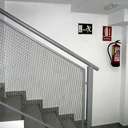 Vandrerhjem Hostelscat