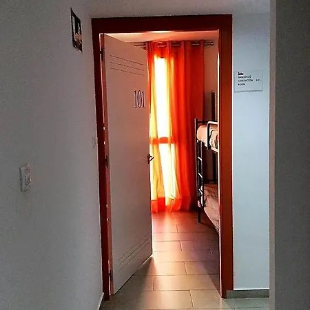 Vandrerhjem Hostelscat *