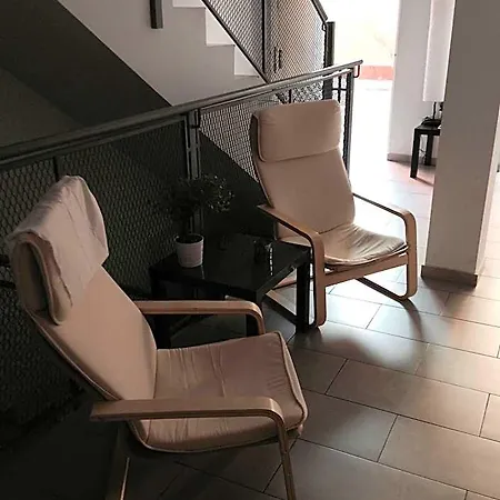 Vandrerhjem Hostelscat *