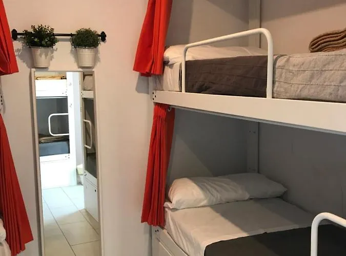 Hostel Hostelscat