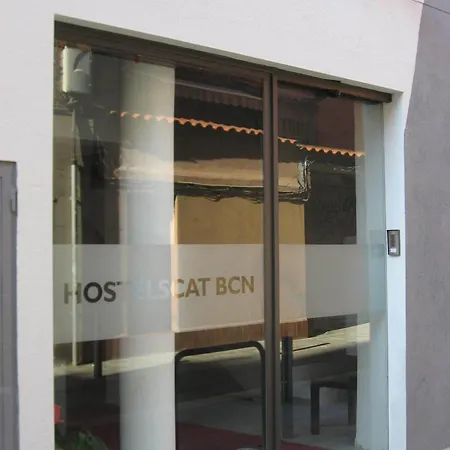 Vandrerhjem Hostelscat